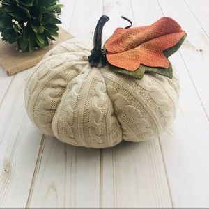 🆕 Sweater Pumpkin